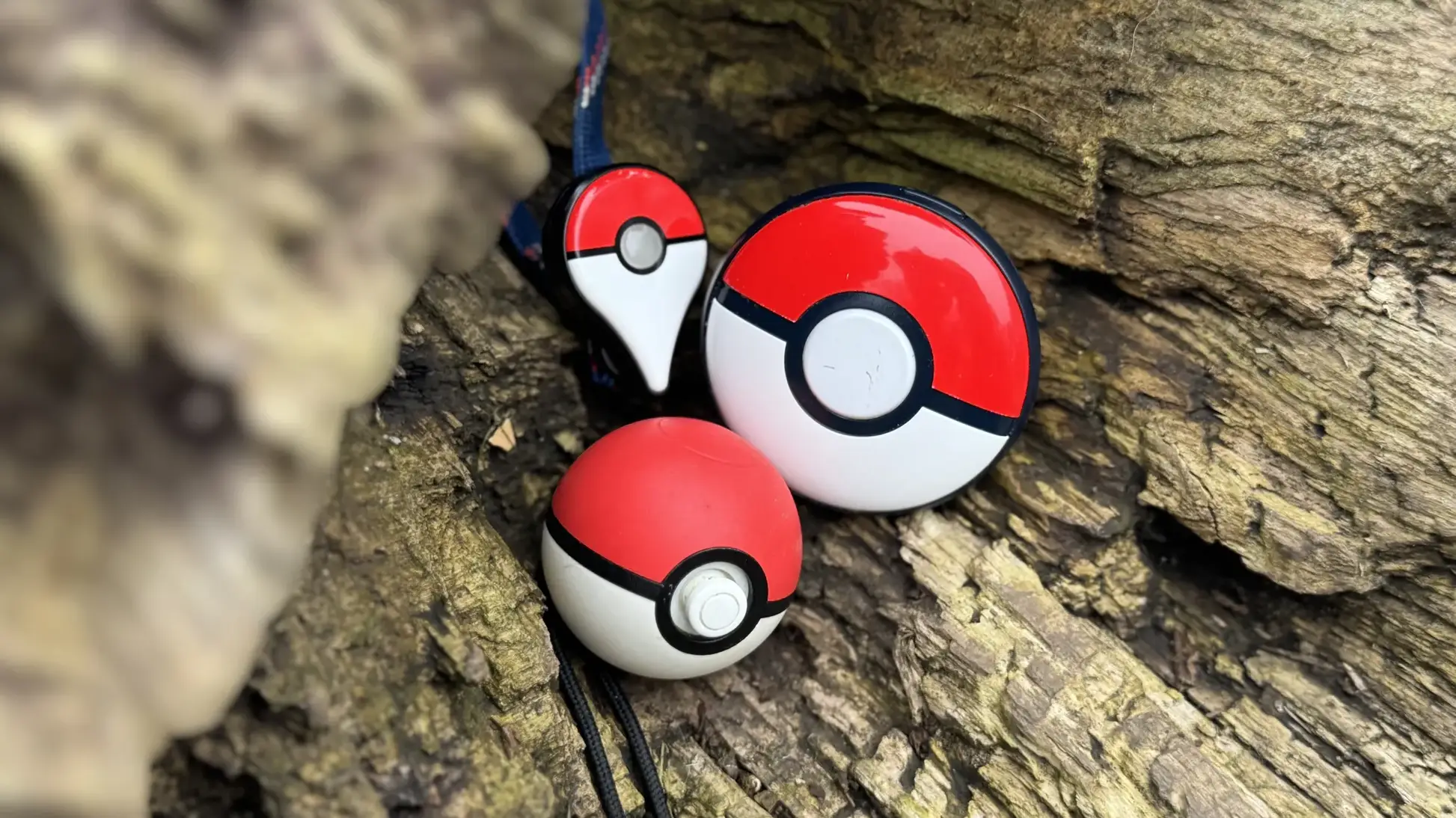 A Pokémon Go Plus, Poké Ball Plus, and Pokémon Go Plus + placed in a tree.